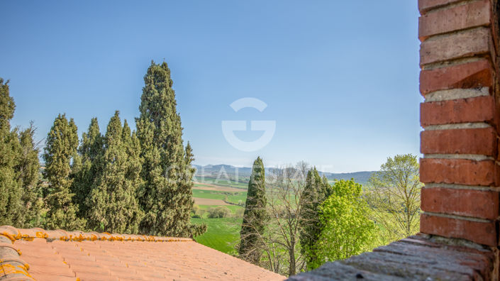 Image No.38-12 Bed Country House for sale