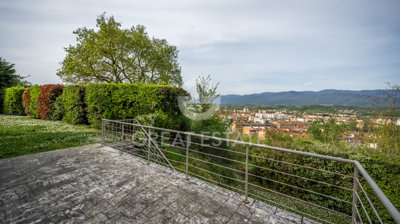 Photo_12