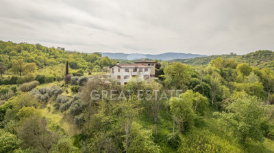Photo_4