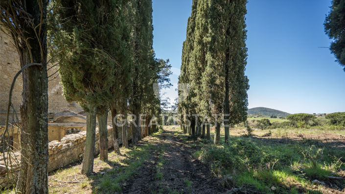 Image No.11-Villa for sale