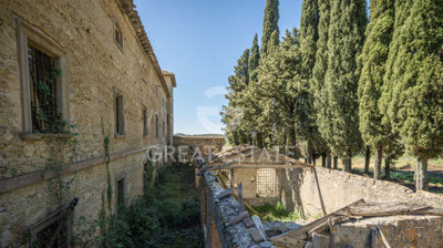 Photo_12
