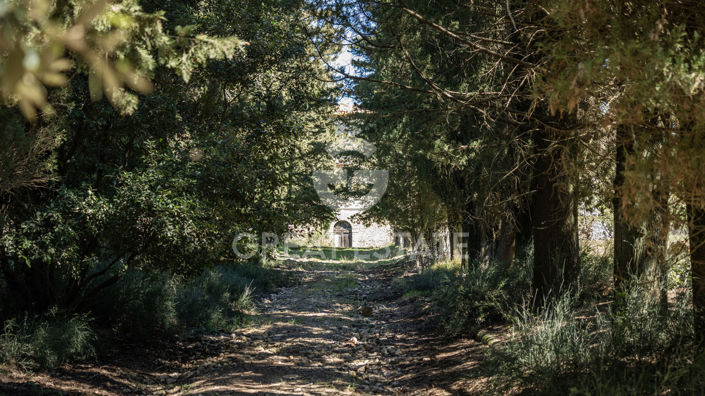 Image No.8-Villa for sale