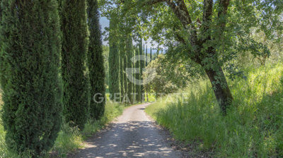 Photo_12