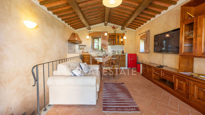 Image No.3-13 Bed Country House for sale