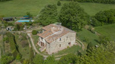 Photo_11