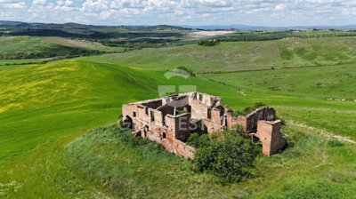 Photo_7