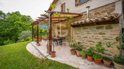 Photo_10