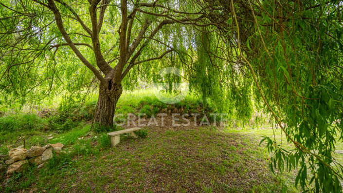Image No.18-Country House for sale