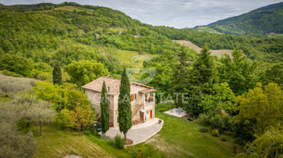 Photo_4