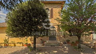 Photo_3