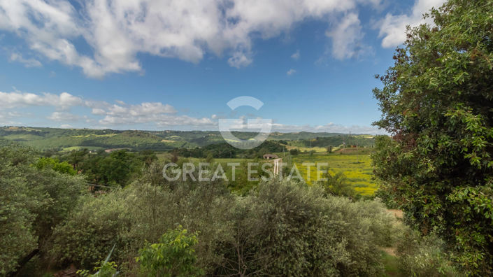 Image No.16-3 Bed Country House for sale