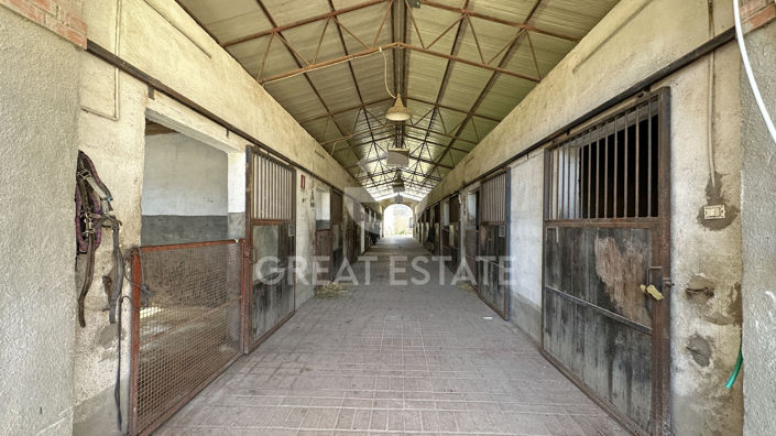 Image No.22-5 Bed Country House for sale