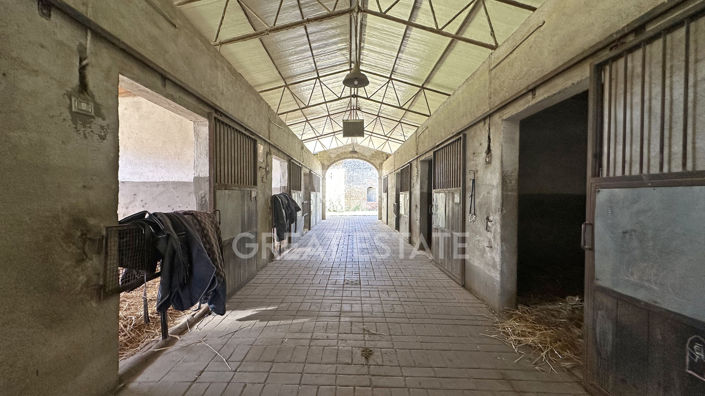 Image No.24-5 Bed Country House for sale