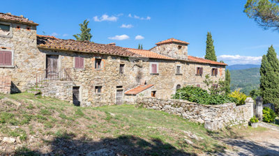 Photo_1