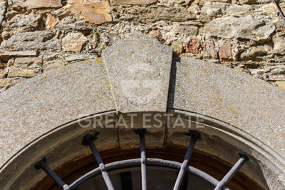 Photo_11