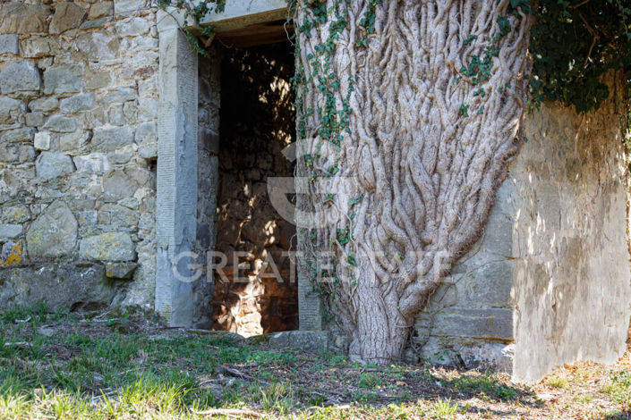 Image No.17-25 Bed Chateaux for sale