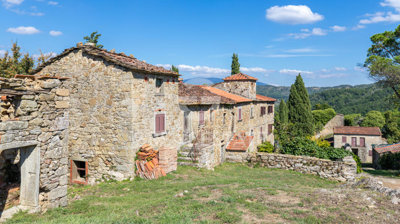 Photo_4