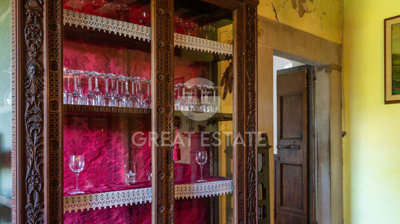 Photo_5