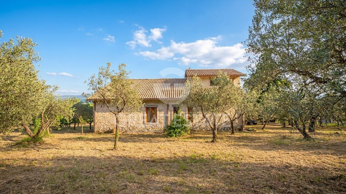 Image No.10-4 Bed Country House for sale