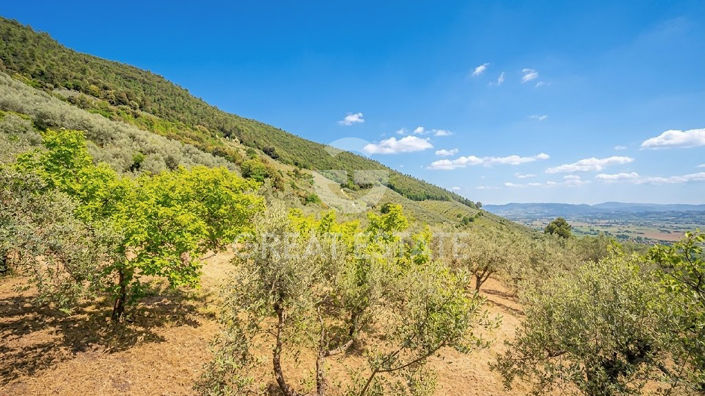 Image No.34-4 Bed Country House for sale