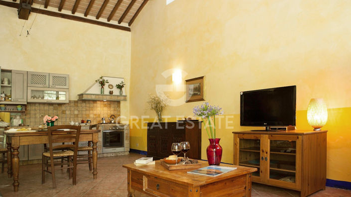 Image No.5-9 Bed Country House for sale