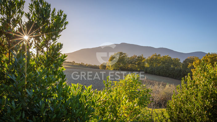 Image No.20-6 Bed Country House for sale