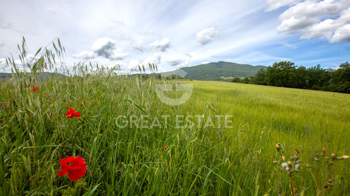 Image No.22-2 Bed Country House for sale