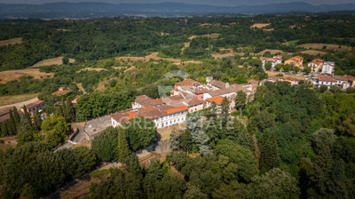 Photo_1