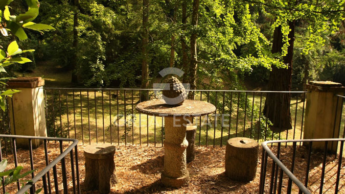Image No.19-Villa de 16 chambres à vendre à Terranuova Bracciolini