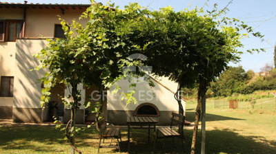 Photo_7