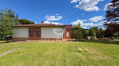Photo_4