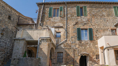 Photo_3