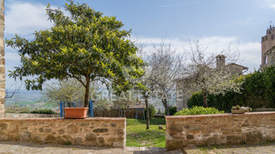 Photo_4