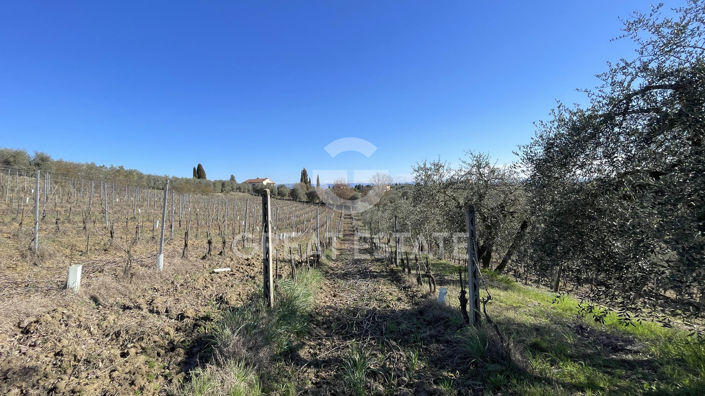 Image No.24-4 Bed Country House for sale