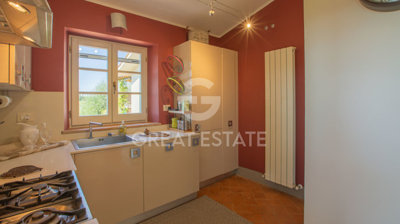 Photo_6