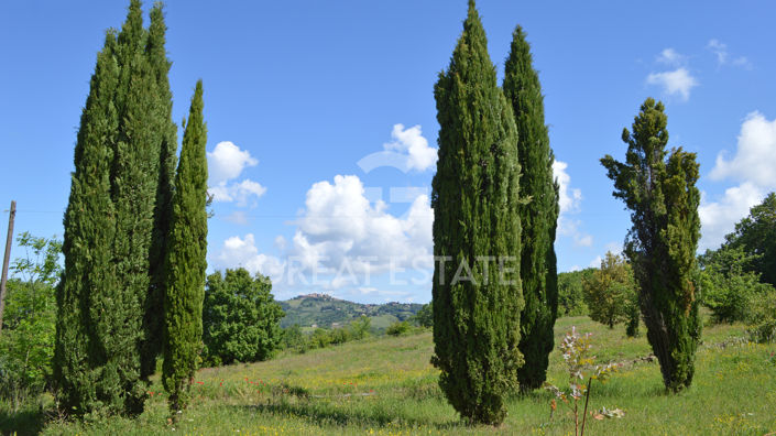 Image No.22-2 Bed Country House for sale