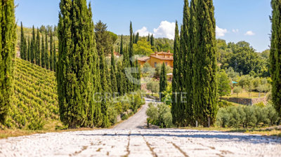 Photo_8