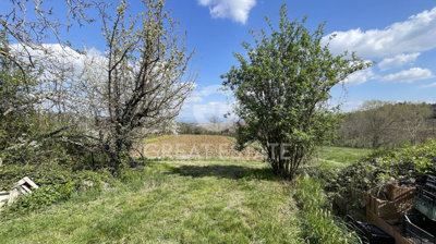 Photo_15