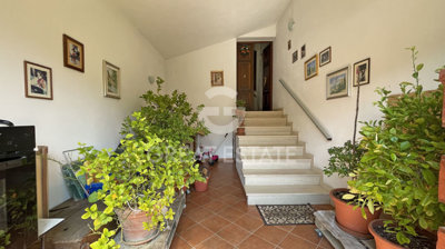 Photo_2