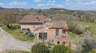 Photo_8