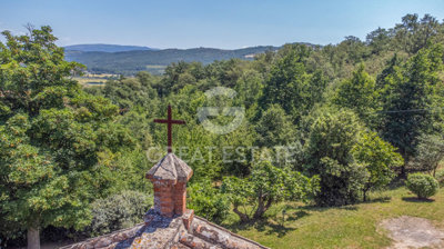 Photo_14