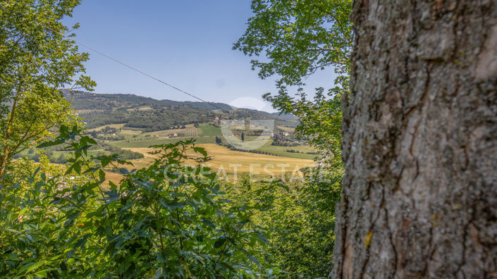 Image No.17-6 Bed Country House for sale