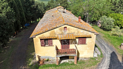 Photo_7