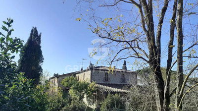 Photo_4
