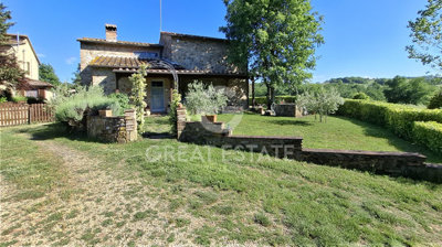 Photo_7
