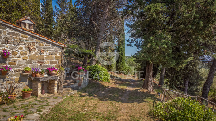 Image No.12-4 Bed Country House for sale