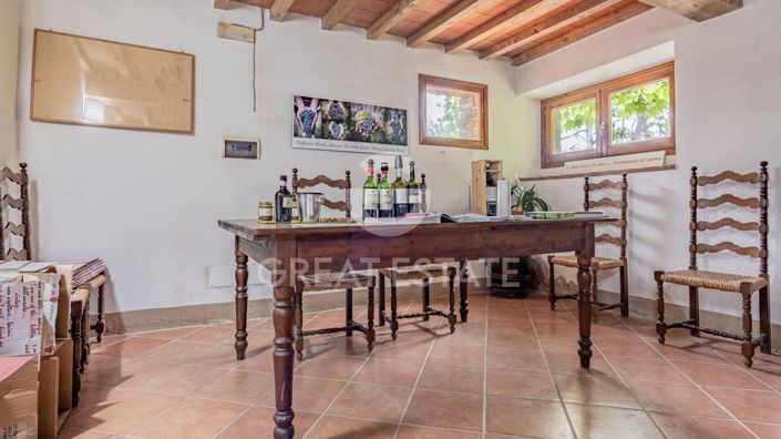 Image No.47-13 Bed Country House for sale