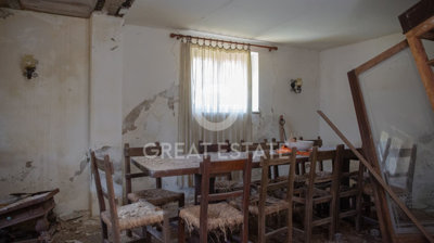 Photo_15