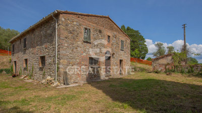 Photo_4