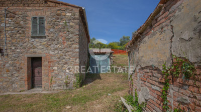 Photo_6